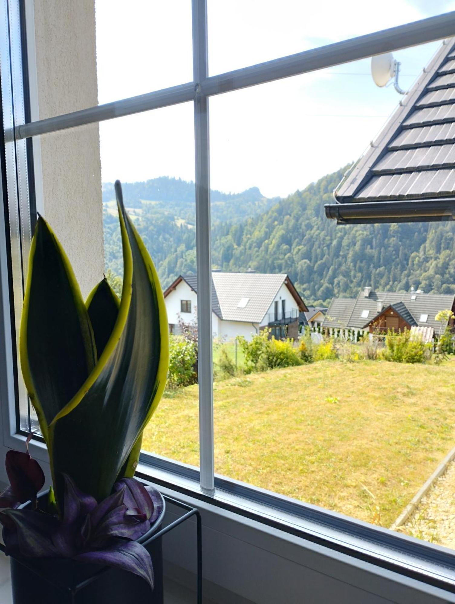 Cisza I Spokoj Szczawnica Buitenkant foto